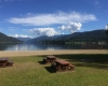 Christina Lake Provincial Park Beach Area