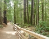 Elk Falls trail suspension bridge BC Parks Best hiking