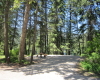 Texas Creek Campground BC Parks