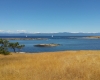 Helliwell Hornby Island