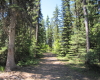 Jewel Lake Provincial Park 