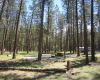 Camping Okanagan  BC Parks  Kettle River Boundary Country