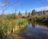 Vaseux Lake Provincial Park Nature Walk Oliver