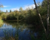 Vaseux Lake Provincial Park BC Parks