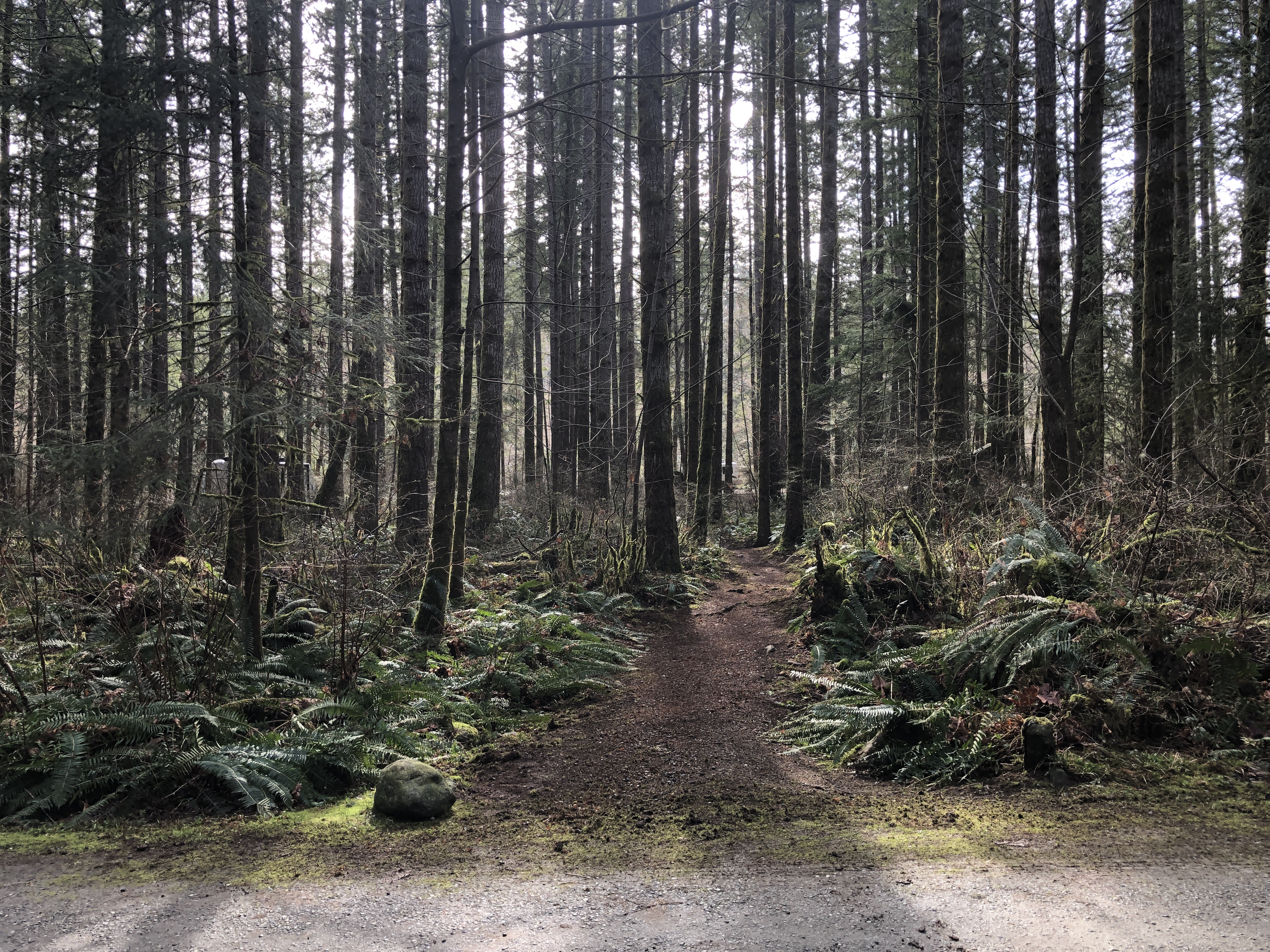 BC Parks Campground Trail Hike BC