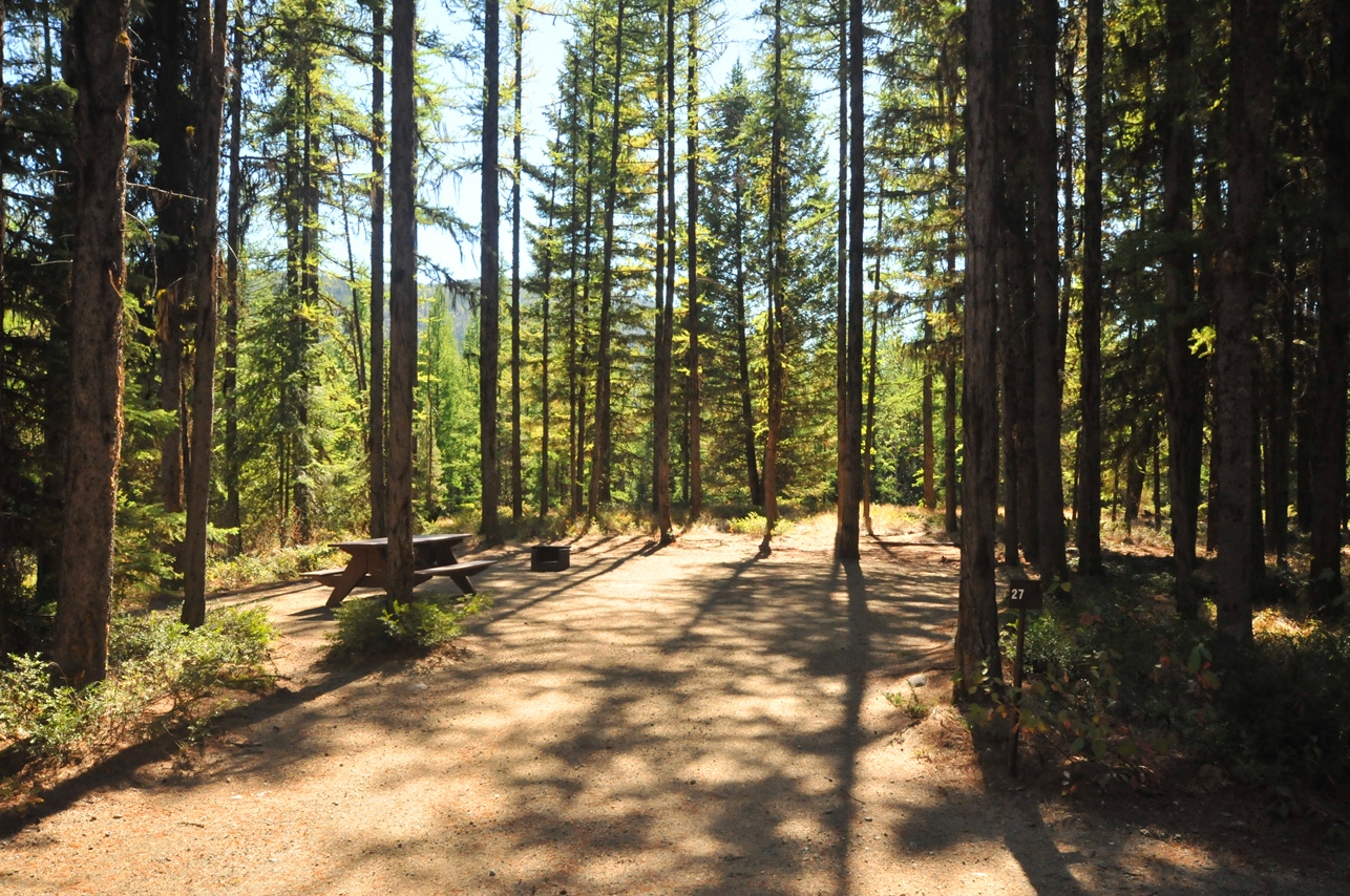 Campsite at Conkle Lake Campground