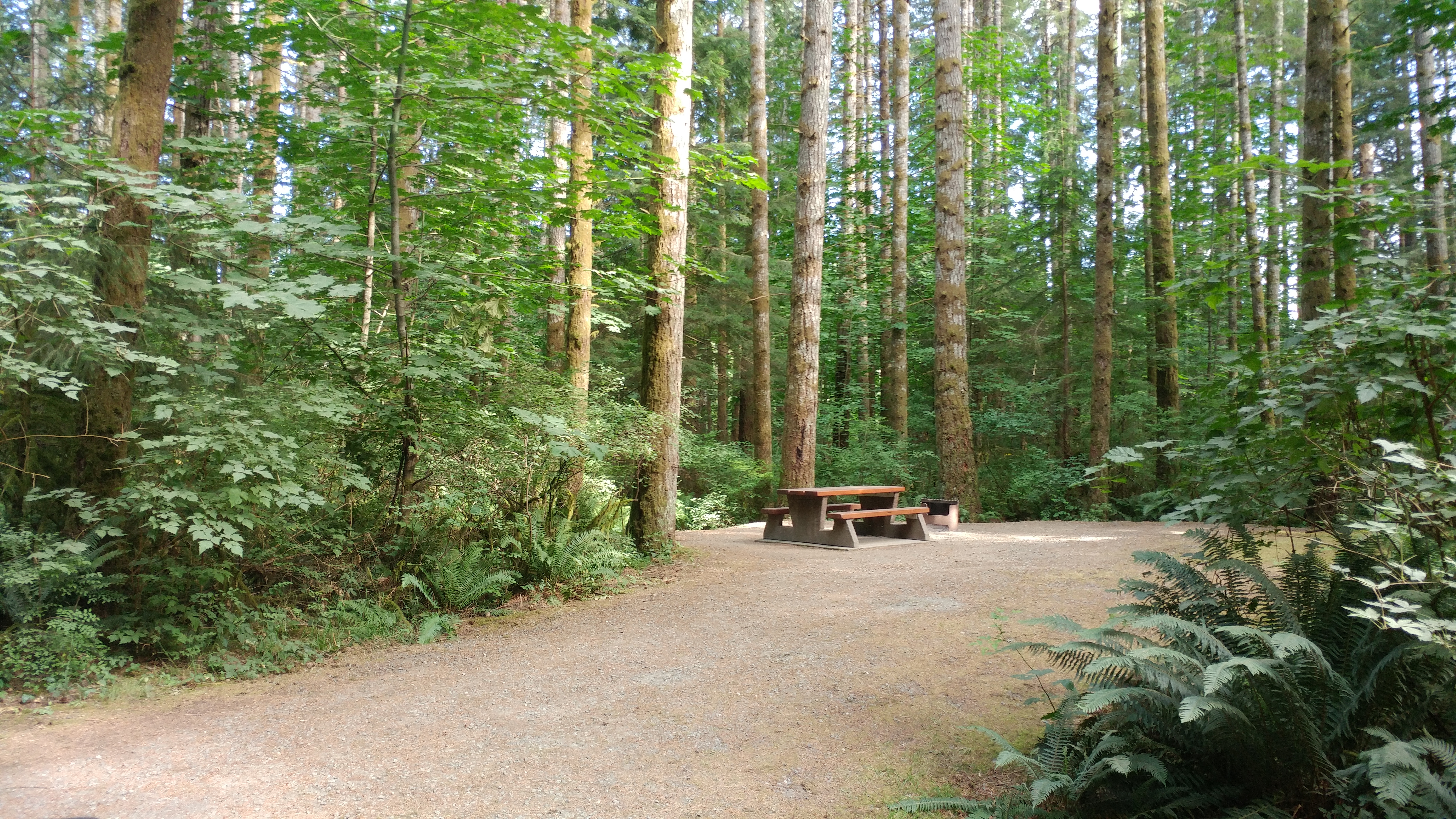 Camping Vancouver Island best campground