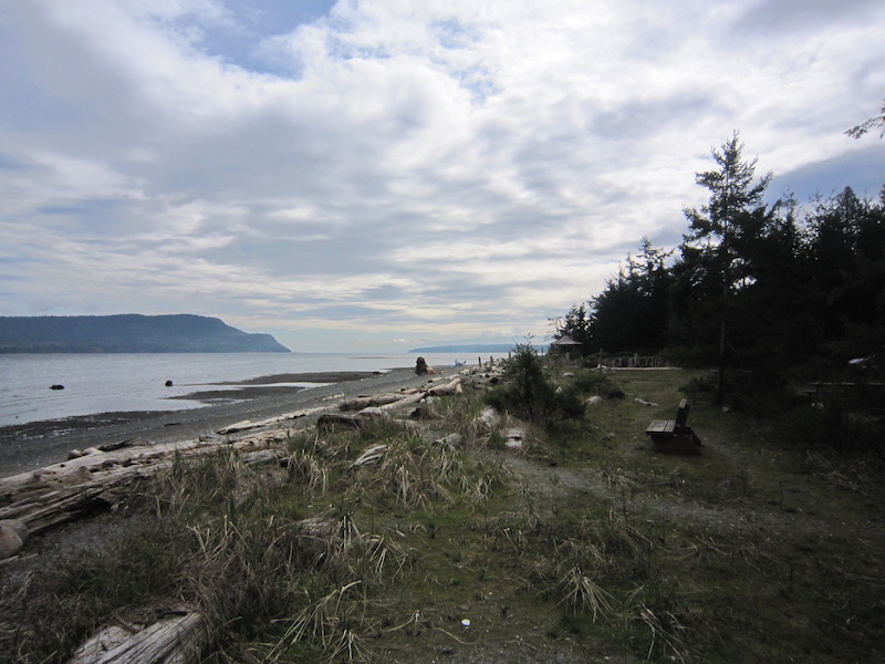 Ocean view from park bench on Denman Island at Fillongley Provincial Park
