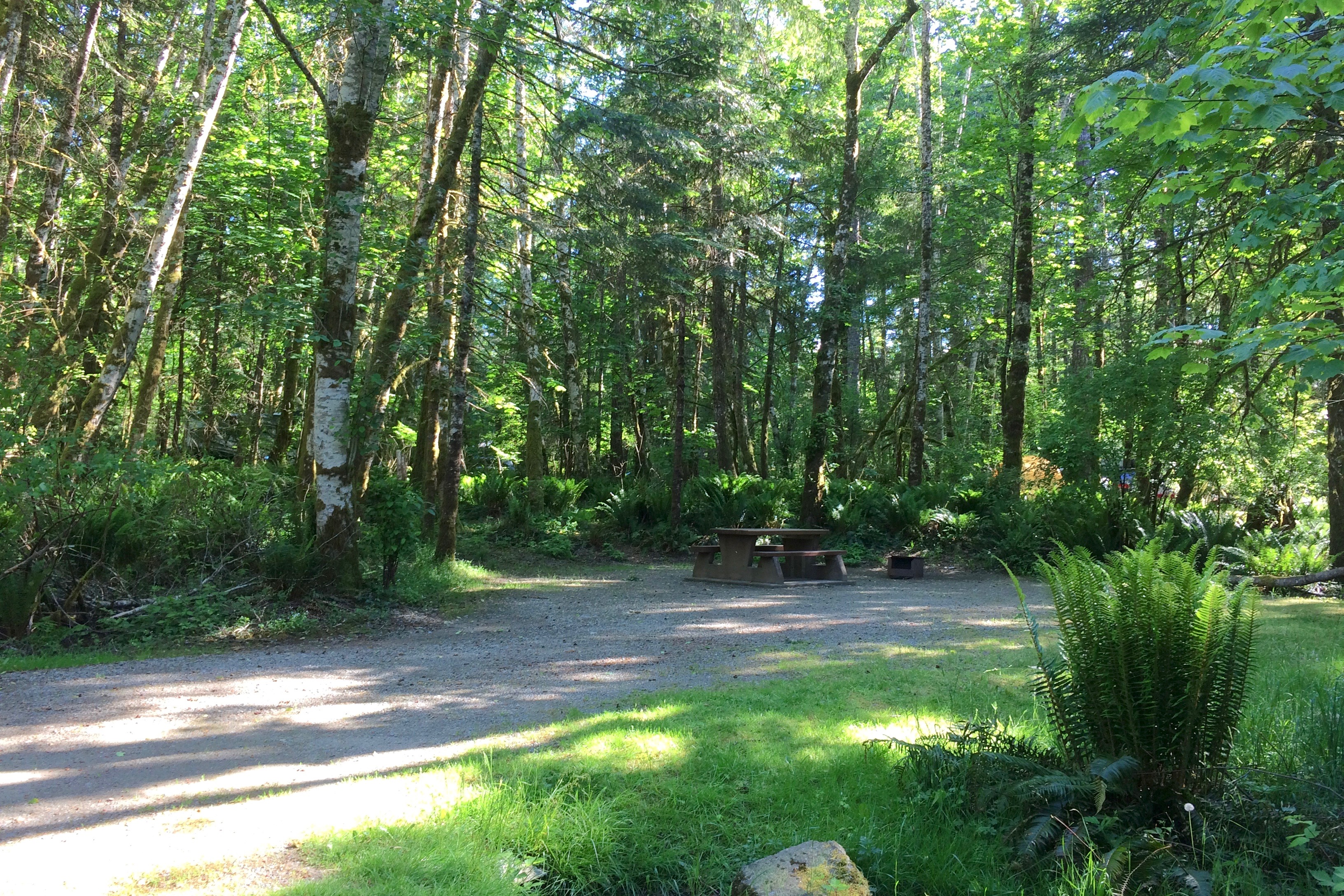 Camping Miracle Beach BC Parks Vancouver Island