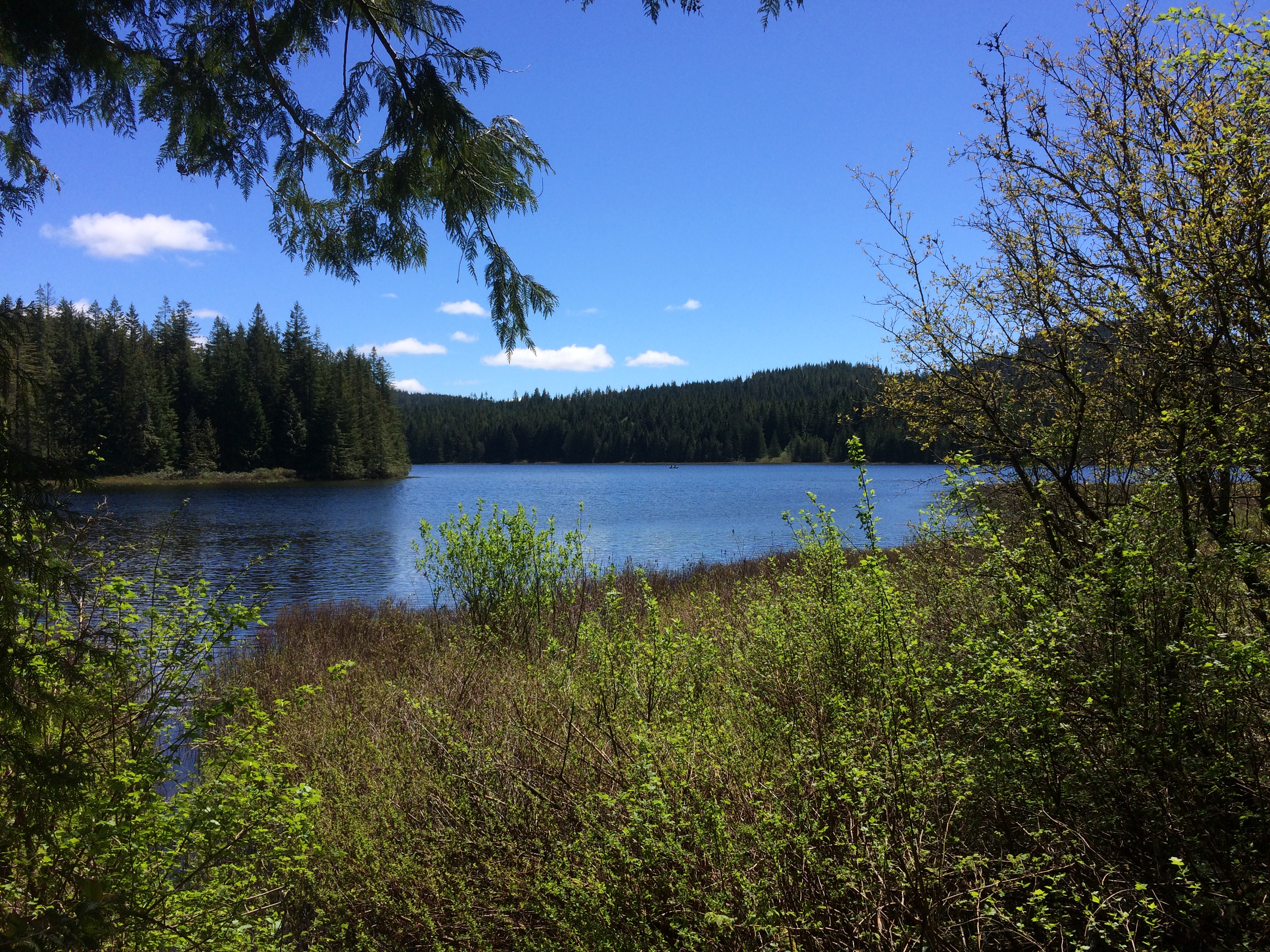 Morton Lake Provincial Park